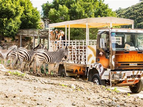 Selwo Aventura Estepona: unique animal park close。